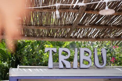 Tribu-10